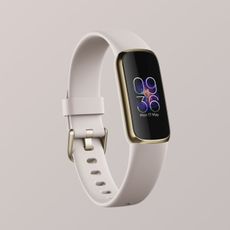 fitbit luxe 1-1